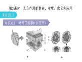 北师大版七年级生物上册第3单元第5章第1节-3探索光合作用教学课件