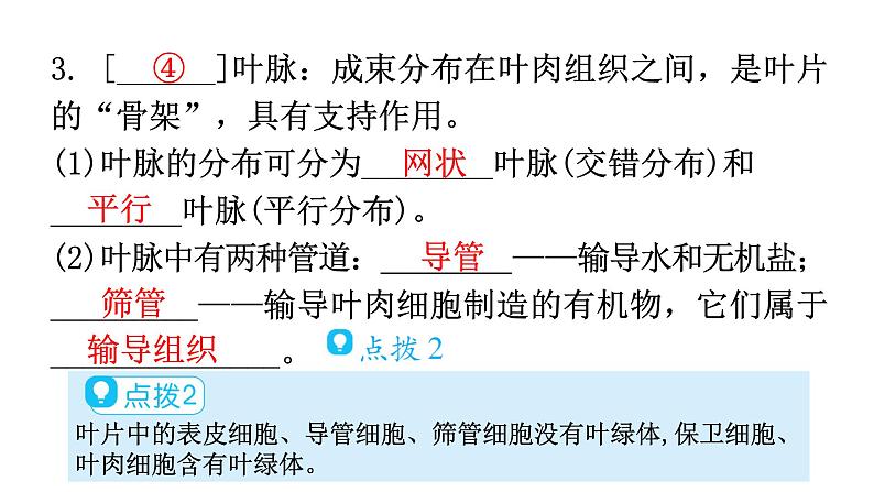 北师大版七年级生物上册第3单元第5章第1节-3探索光合作用教学课件第7页