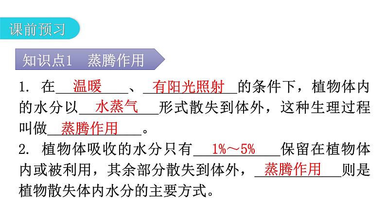 北师大版七年级生物上册第3单元第5章第4节蒸腾作用教学课件04