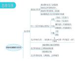 北师大版七年级生物上册第3单元第5章章末总结教学课件