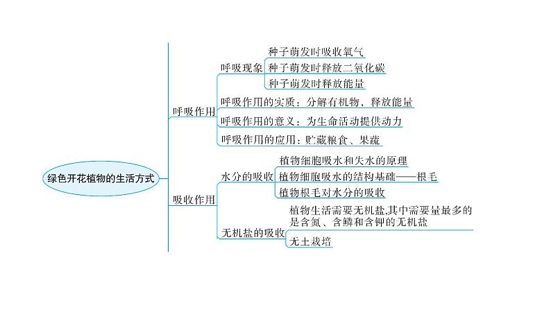 北师大版七年级生物上册第3单元第5章章末总结教学课件04