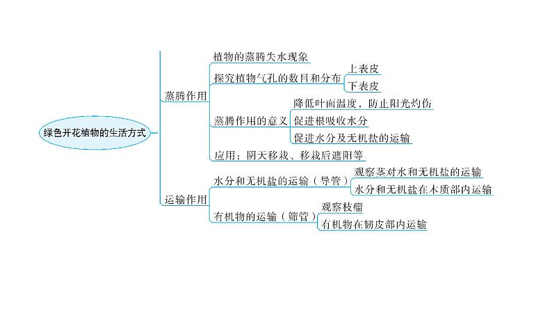 北师大版七年级生物上册第3单元第5章章末总结教学课件05