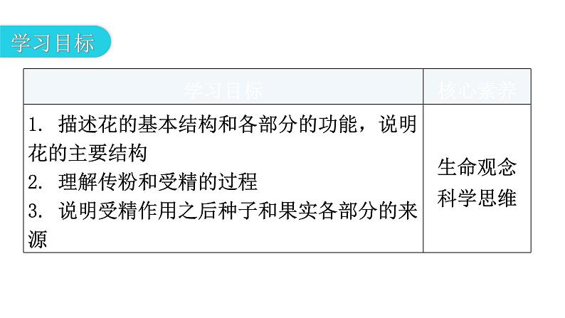 北师大版七年级生物上册第3单元第6章第3节生殖器官的生长教学课件03