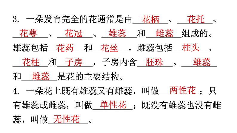 北师大版七年级生物上册第3单元第6章第3节生殖器官的生长教学课件05