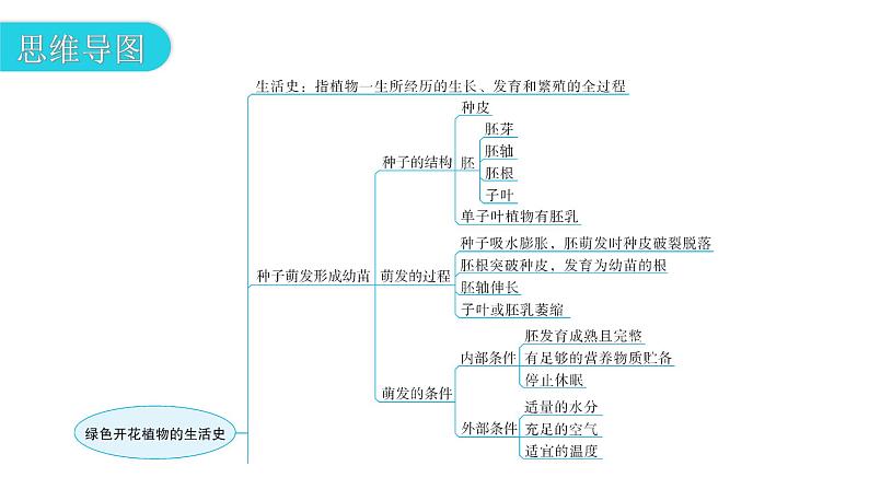 北师大版七年级生物上册第3单元第6章章末总结教学课件03