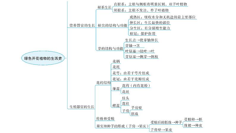 北师大版七年级生物上册第3单元第6章章末总结教学课件04