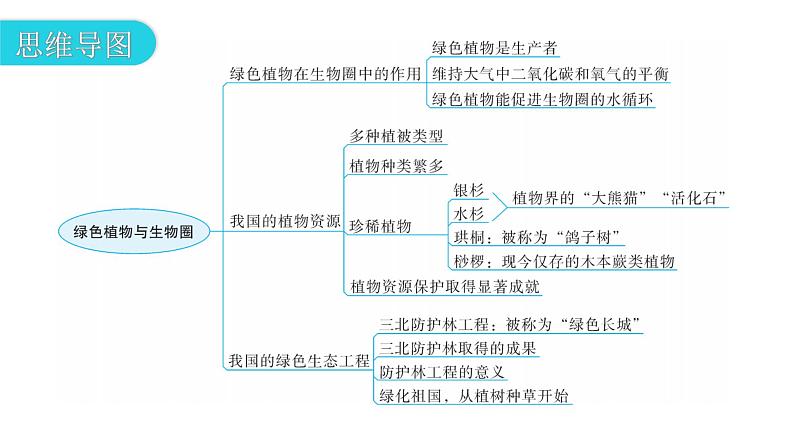 北师大版七年级生物上册第3单元第7章章末总结教学课件03