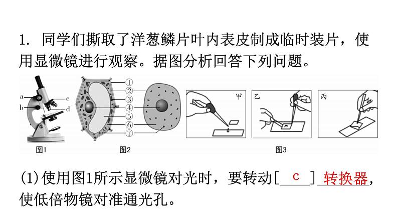 北师大版七年级生物上册专项训练一读图理解课件02