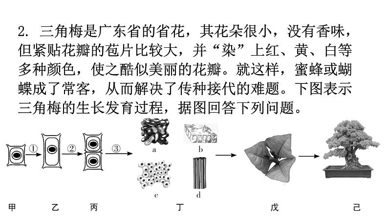 北师大版七年级生物上册专项训练一读图理解课件05