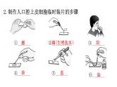 北师大版七年级生物上册重点图解专项训练课件