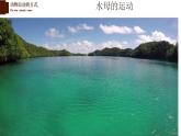 15.1动物运动的方式-【精华备课】2023-2024学年八年级生物上册同步教学课件（北师大版）