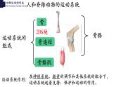 15.2动物运动的形成-【精华备课】2023-2024学年八年级生物上册同步教学课件（北师大版）