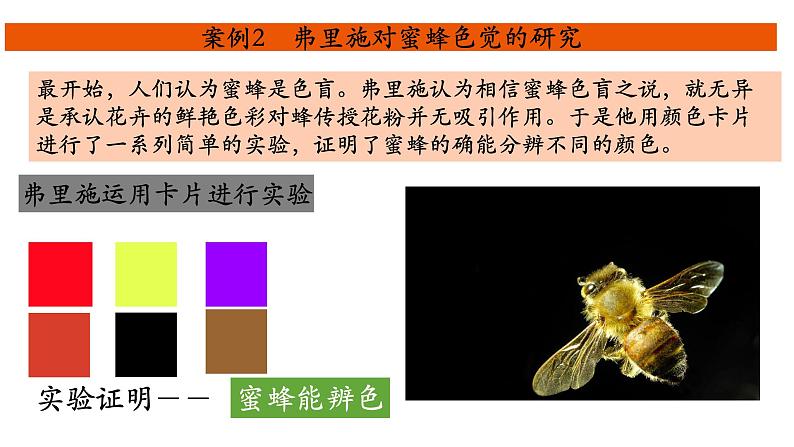 16.3动物行为的研究-【精华备课】2023-2024学年八年级生物上册同步教学课件（北师大版）06