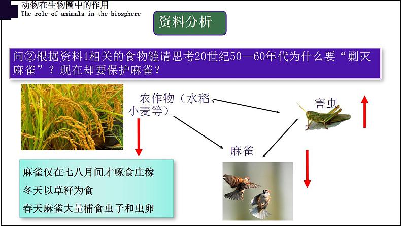 17.1动物在生物圈中的作用-【精华备课】2023-2024学年八年级生物上册同步教学课件（北师大版）06