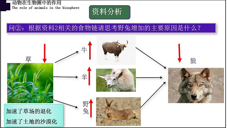 17.1动物在生物圈中的作用-【精华备课】2023-2024学年八年级生物上册同步教学课件（北师大版）08