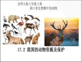 17.2我国的动物资源及保护-【精华备课】2023-2024学年八年级生物上册同步教学课件（北师大版）