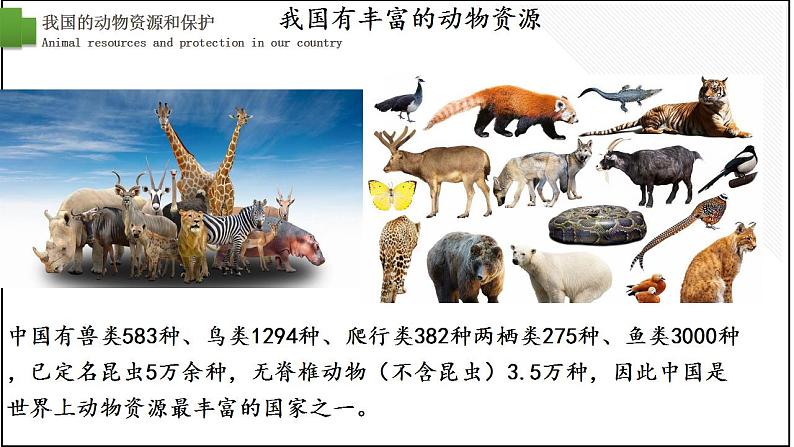 17.2我国的动物资源及保护-【精华备课】2023-2024学年八年级生物上册同步教学课件（北师大版）02