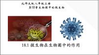 八年级上册第五单元  生物圈中的动物和微生物第18章  生物圈中的微生物第1节  微生物在生物圈中的作用备课ppt课件