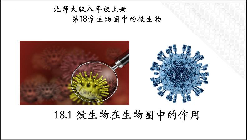 18.1微生物在生物圈中的作用-【精华备课】2023-2024学年八年级生物上册同步教学课件（北师大版）01