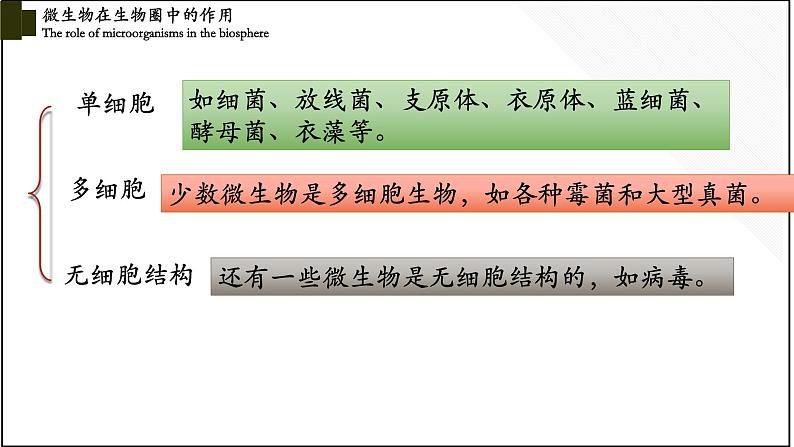 18.1微生物在生物圈中的作用-【精华备课】2023-2024学年八年级生物上册同步教学课件（北师大版）04