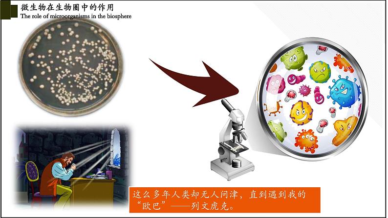 18.1微生物在生物圈中的作用-【精华备课】2023-2024学年八年级生物上册同步教学课件（北师大版）05