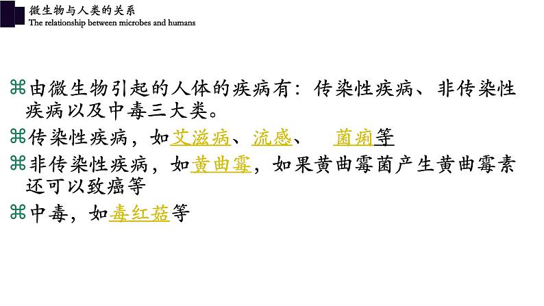 18.2微生物与人类的关系-【精华备课】2023-2024学年八年级生物上册同步教学课件（北师大版）04