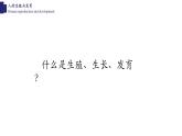 19.1人的生殖和发育（2课时）-【精华备课】2023-2024学年八年级生物上册同步教学课件（北师大版）