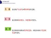 19.1人的生殖和发育（2课时）-【精华备课】2023-2024学年八年级生物上册同步教学课件（北师大版）