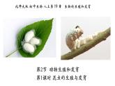 19.2动物的生殖与发育（第1课时）-【精华备课】2023-2024学年八年级生物上册同步教学课件（北师大版）