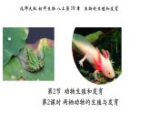 19.2动物的生殖与发育（第2课时）-【精华备课】2023-2024学年八年级生物上册同步教学课件（北师大版）