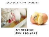 19.2动物的生殖与发育（第3课时）-【精华备课】2023-2024学年八年级生物上册同步教学课件（北师大版）