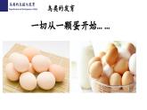 19.2动物的生殖与发育（第3课时）-【精华备课】2023-2024学年八年级生物上册同步教学课件（北师大版）