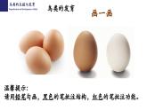 19.2动物的生殖与发育（第3课时）-【精华备课】2023-2024学年八年级生物上册同步教学课件（北师大版）