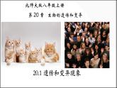 20.1遗传和变异现象-【精华备课】2023-2024学年八年级生物上册同步教学课件（北师大版）