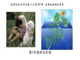 20.5遗传与环境-【精华备课】2023-2024学年八年级生物上册同步教学课件（北师大版）
