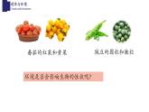 20.5遗传与环境-【精华备课】2023-2024学年八年级生物上册同步教学课件（北师大版）