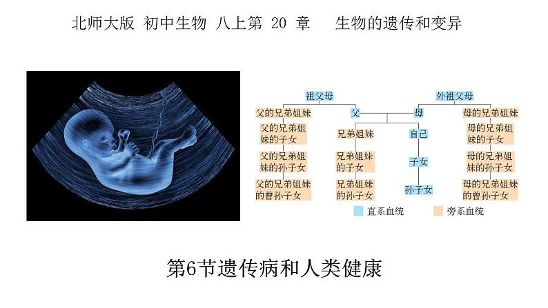 20.6遗传病和人类健康-【精华备课】2023-2024学年八年级生物上册同步教学课件（北师大版）第1页