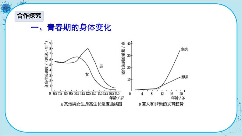 人教版生物七下 1.3《青春期》课件PPT03