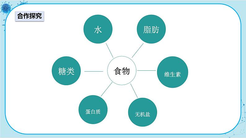 人教版生物七下 2.1.1《三大有机营养物质和能量》课件PPT03