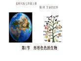 1.1.1+形形色色的生物-【精华备课】2023-2024学年七年级生物上册同步教学课件（北师大版）