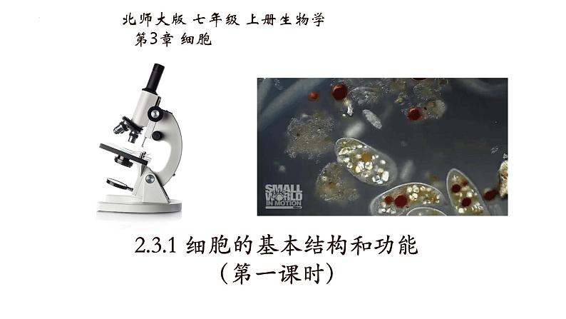 2.3.1+细胞的基本结构和功能（第一课时）-【精华备课】2023-2024学年七年级生物上册同步教学课件（北师大版）01