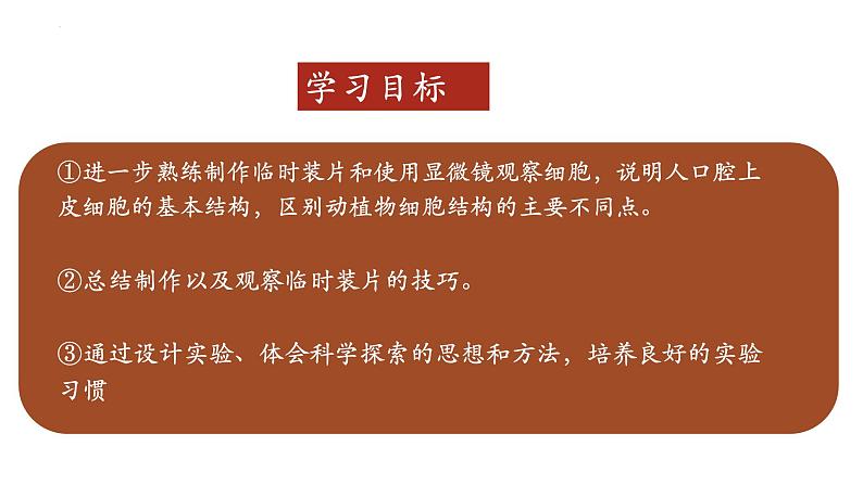 2.3.1+细胞的基本结构和功能（第二课时）-【精华备课】2023-2024学年七年级生物上册同步教学课件（北师大版）02