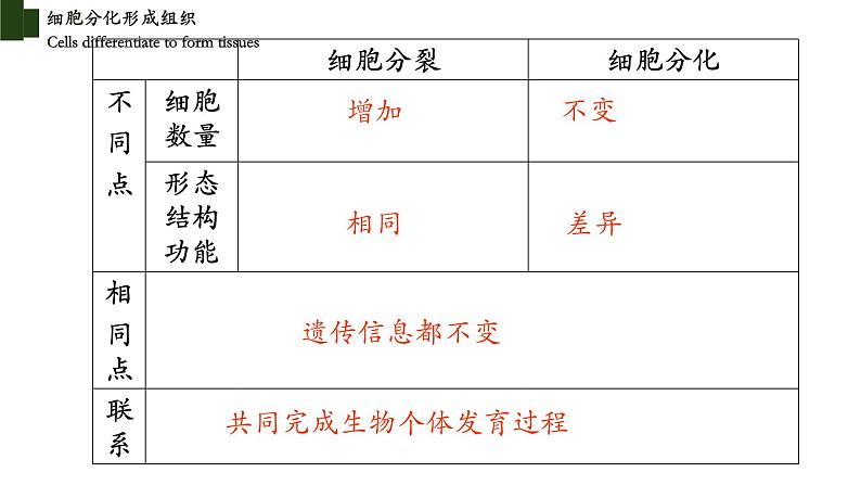 2.4.1+细胞分化成组织-【精华备课】2023-2024学年七年级生物上册同步教学课件（北师大版）08