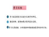 2.3.3+细胞通过分裂进行增殖-【精华备课】2023-2024学年七年级生物上册同步教学课件（北师大版）