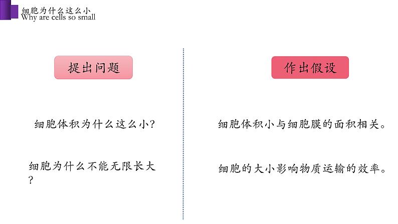 2.3.3 细胞通过分裂而增殖第5页