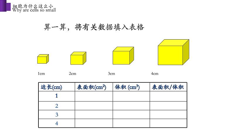 2.3.3 细胞通过分裂而增殖第6页