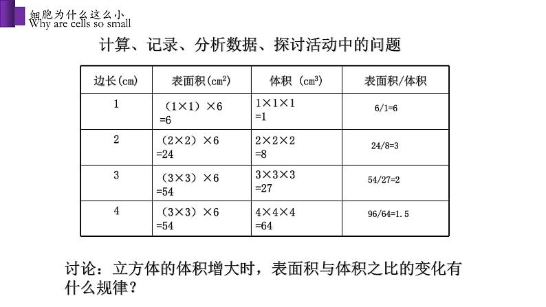 2.3.3 细胞通过分裂而增殖第7页