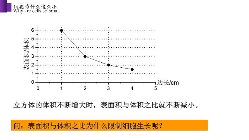 2.3.3 细胞通过分裂而增殖第8页