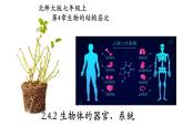 2.4.2+生物体的器官、系统-【精华备课】2023-2024学年七年级生物上册同步教学课件（北师大版）