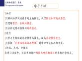 2.4.2+生物体的器官、系统-【精华备课】2023-2024学年七年级生物上册同步教学课件（北师大版）